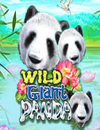 เครดิต ฟรี ถอน เข้า วอ เลท ได้ จัดเต็มกับเกมสล็อต CQ9